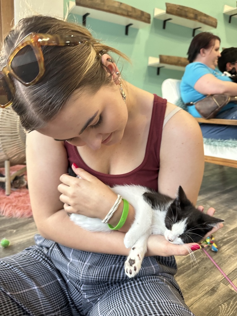 A visit to the cat cafe
